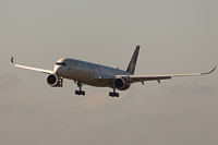 G-VLIB
